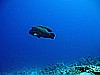 IMG_1702.JPG