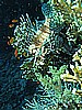 IMG_1703.JPG