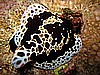 IMG_1715.JPG