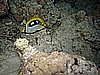 IMG_1718.JPG