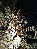 IMG_1719.JPG