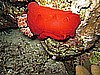 IMG_1723.JPG