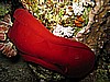 IMG_1724.JPG