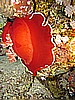 IMG_1726.JPG