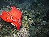 IMG_1727.JPG