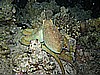 IMG_1730.JPG