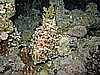 IMG_1731.JPG