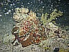 IMG_1732.JPG