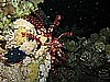 IMG_1736.JPG