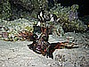 IMG_1740.JPG