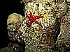 IMG_1745.JPG