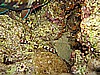IMG_1746.JPG