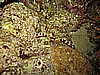 IMG_1747.JPG