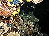 IMG_1750.JPG