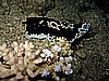 IMG_1755.JPG