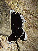 IMG_1762.JPG