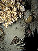 IMG_1763.JPG