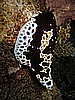 IMG_1770.JPG