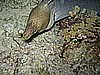 IMG_1771.JPG