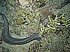 IMG_1772.JPG