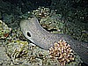 IMG_1773.JPG