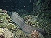 IMG_1774.JPG