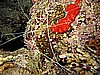 IMG_1780.JPG