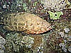 IMG_1783.JPG