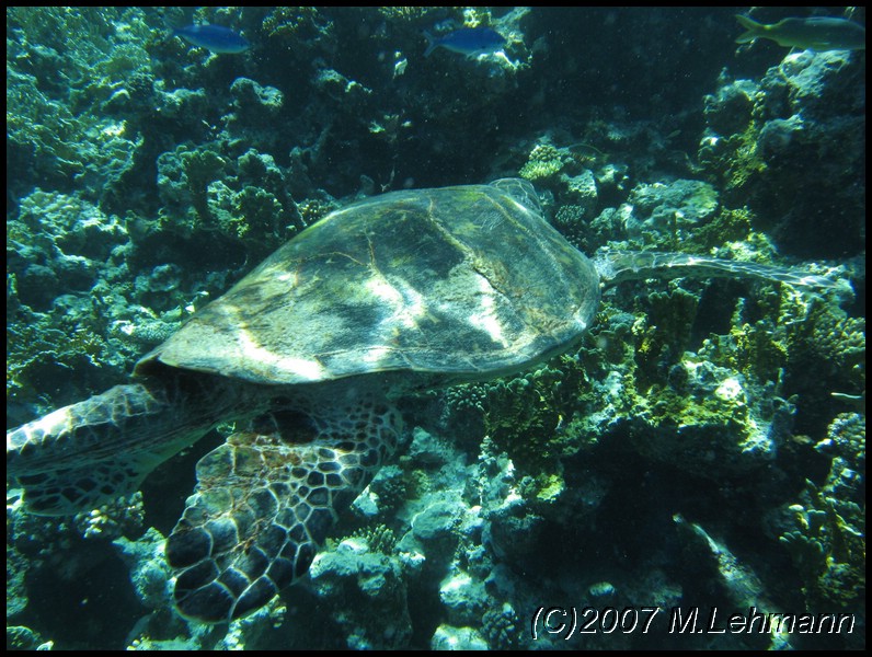 IMG_1805.JPG