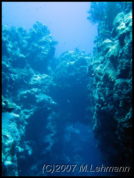 IMG_1837.JPG