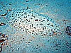 IMG_1789.JPG