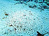 IMG_1791.JPG