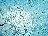 IMG_1792.JPG
