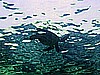 IMG_1793.JPG