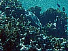 IMG_1794.JPG