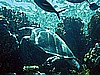 IMG_1796.JPG