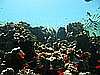 IMG_1797.JPG