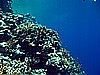 IMG_1798.JPG