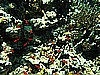 IMG_1799.JPG