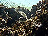IMG_1800.JPG