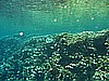 IMG_1801.JPG