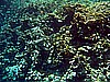 IMG_1802.JPG