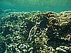 IMG_1803.JPG