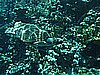 IMG_1804.JPG
