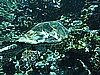 IMG_1805.JPG