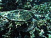 IMG_1806.JPG