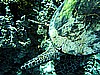 IMG_1808.JPG