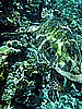 IMG_1809.JPG