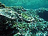 IMG_1810.JPG