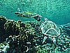 IMG_1811.JPG